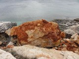 DSC05522